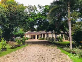 Single story ranch home surrounded by tropical garden and palm trees