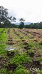 Farmland with freshly dug soil rows, agricultural property in Los Mameyes Potrerillos Chiriquí