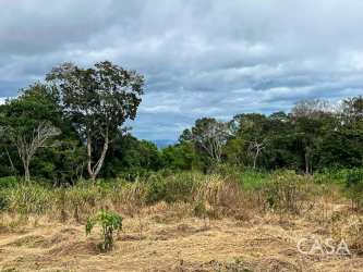 Wide undeveloped land lot with grass and trees Los Mameyes Potrerillos Chiriquí