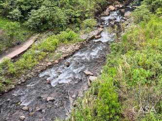 Large plot with grass and mature trees, Los Mameyes Potrerillos Chiriquí Panama