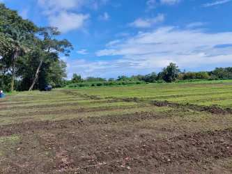 Large open farmland ideal for investment agriculture near David Panama