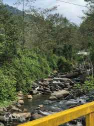 Clear stream flowing through lush landscape of Cerro Punta land Panama