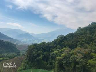Hilly farm landscape with forest and mountain backdrop near Cerro Punta