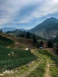 Green cultivated fields and wooded slope in mountain highlands of Volcán Panama