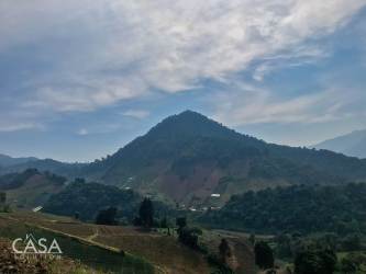 3 Hectares Mountain Land with Springs Cerro Punta Volcán
