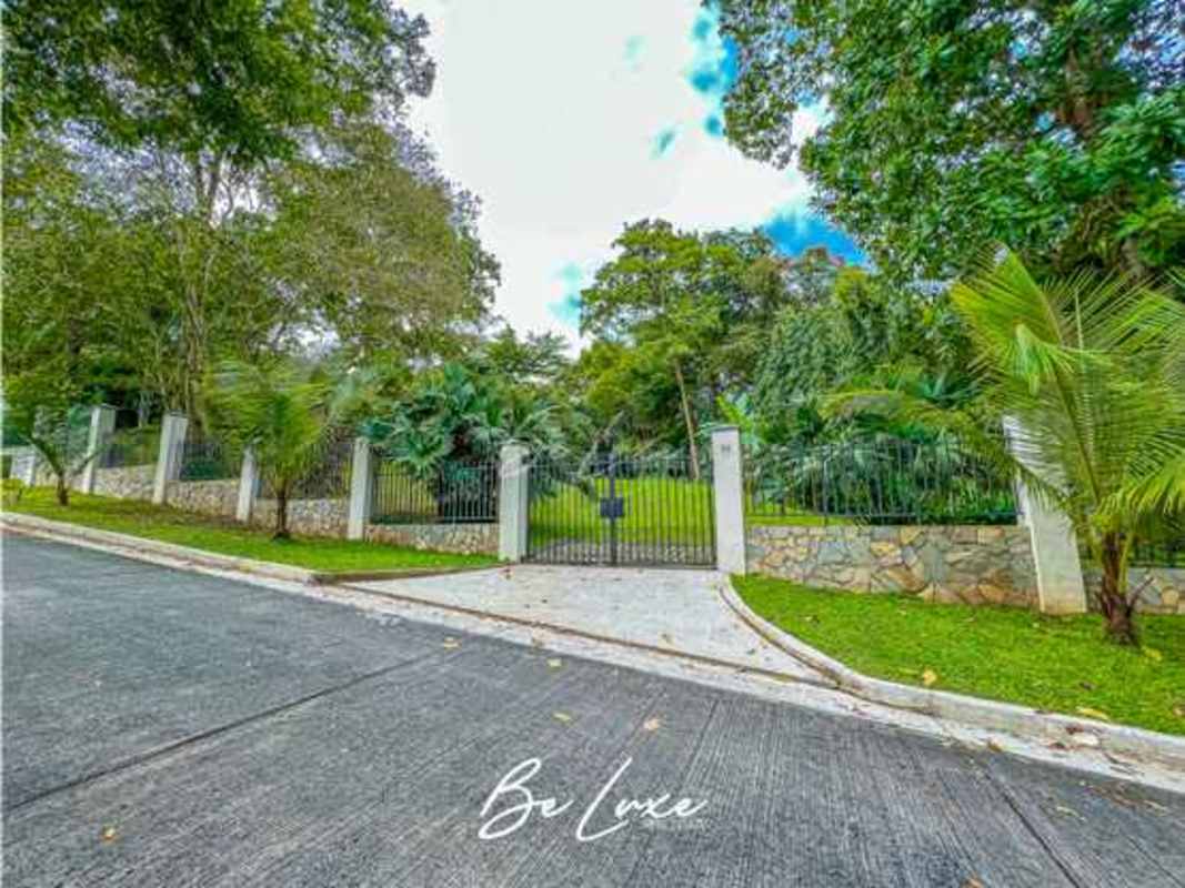 Aerial shot showing large vacant lot surrounded by mature trees in Urbanización Camino de Cruces Clayton Panama