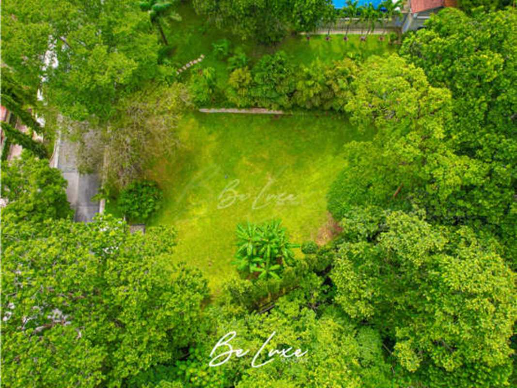 Green vacant residential lot surrounded by foliage and mature trees in Camino de Cruces Clayton Panama