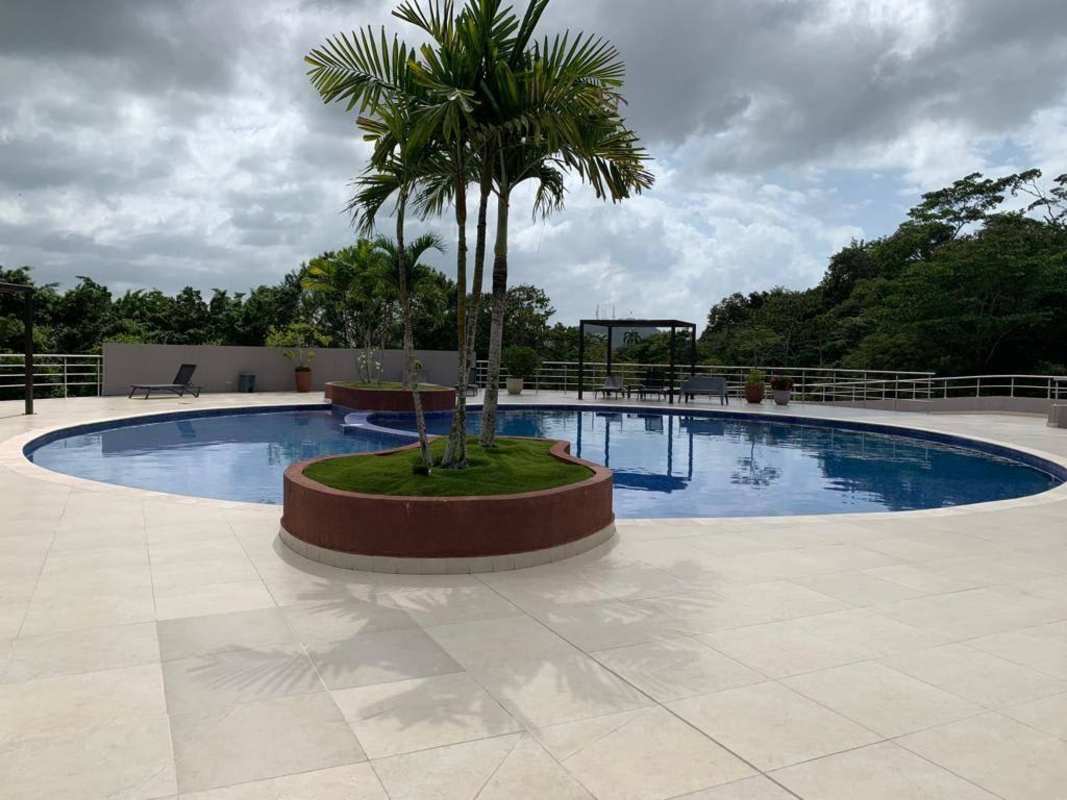 Outdoor pool with sun loungers and tropical landscaping at Forest Gate Clayton Panama