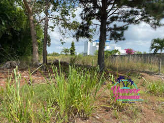 Street access with greenery, roadside property near Santa Clara beach
