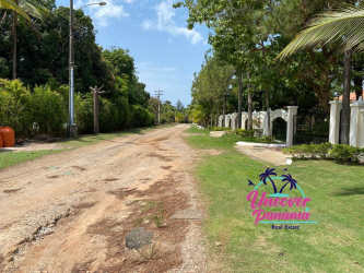 Undeveloped residential plot with trees and vegetation near El Farallón beaches