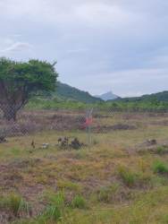 Flat plot of farmland with natural vegetation mountain view in Coclé Panama
