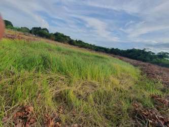 Open grassy lot mountain backdrop Penonomé Coclé Panama for sale