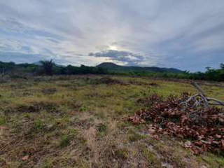 Land for Sale in El Coco - 0 bedrooms