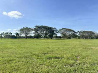 Land Plot for Sale in Antón - 0 bedrooms