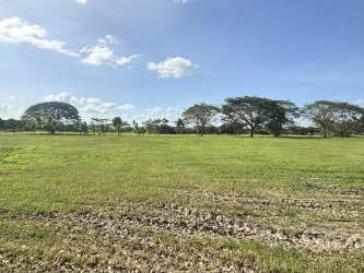 Flat open land plot with greenery near golf amenities at Buenaventura Beach Resort Panama