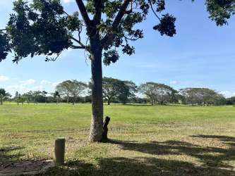 Vacant luxury villa lot with mature tropical surroundings in Buenaventura Panama