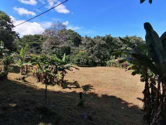 Grassy field with banana trees and scenic hills in Bajo del Río Bejuco Chame
