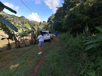 Partially cleared lot with lush vegetation Bajo del Río Bejuco Panama