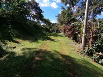 Nature filled lot with banana plants and trees, mountain backdrop