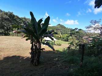 Open grassy area backed by hills and banana plants Bajo del Río Panama