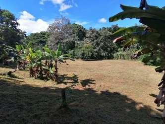 Grassy clearing with mature trees under blue sky Bajo del Río Bejuco Chame