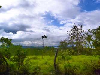 Open countryside acreage with mountain and greenery views in Boca Chica Panama