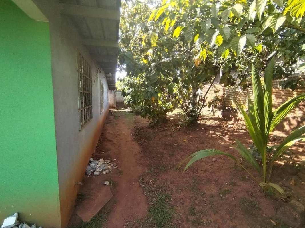 Lush tropical vegetation in side yard of residential home in Nueva Esperanza Panama City