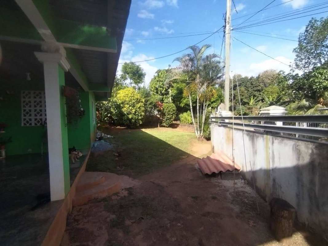 Large backyard with mature greenery, banana trees, and outdoor dirt area in Nueva Esperanza Panama