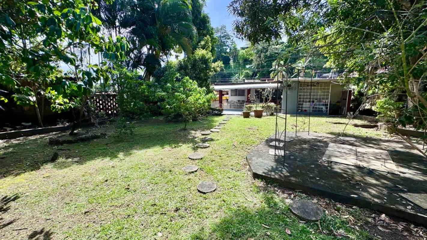 Large backyard with mature trees and garden area in Altos de Betania Panama