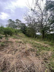 Land Lot for Sale in Ernesto Córdoba Campos - 0 bedrooms