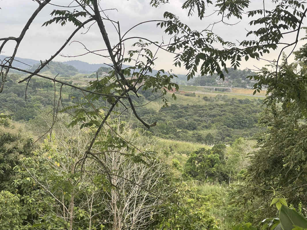 Vacant natural hill land with trees and panoramic countryside views in Gonzalillo