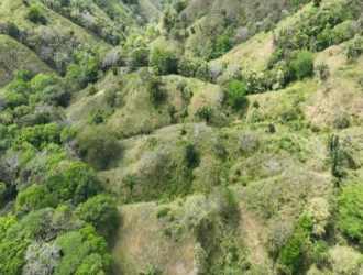 Aerial of natural hilly land with vegetation and mixed pasture Cambutal