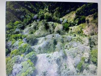 Aerial view of rolling green hillside terrain natural pasture Cambutal Los Santos