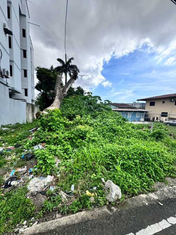Vacant overgrown lot suitable for mid-rise development in Río Abajo Panama City