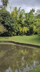 Land for Sale in Antón - 0 bedrooms