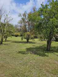 Panoramic view of wooded flat land with pond ideal for eco-home El Valle Panama