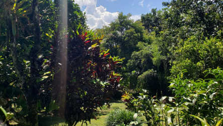 Tropical corner lot fully fenced with lush garden vegetation El Valle Panama