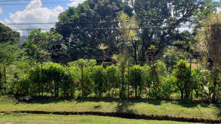 Large green corner lot with mountain views lush vegetation El Valle Panama