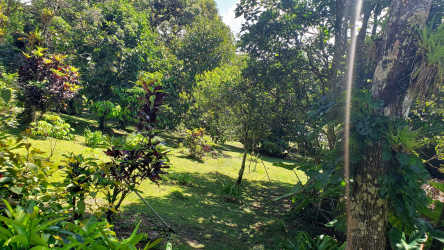 Corner residential lot with lush garden and mountain views in El Valle Panama