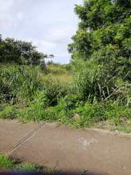 Undeveloped fenced open land with greenery on Avenida Circumbalación Chitré Panama