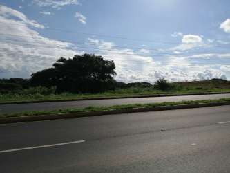 Roadside land with vegetation ideal for development in Chitré Herrera Province Panama