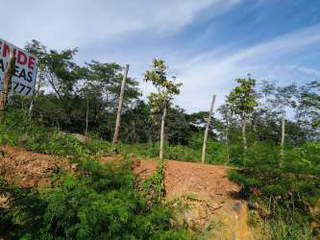 Land for Sale in Chitré - 0 bedrooms