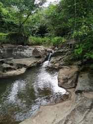 Crystal creek with rocks and forest vegetation crossing farmland near Chitré Panama