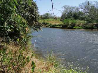 Natural border of La Villa river with green vegetation and trees on farm for sale in Panama