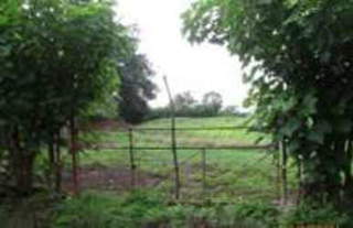 Land for Sale in Pesé - 0 bedrooms