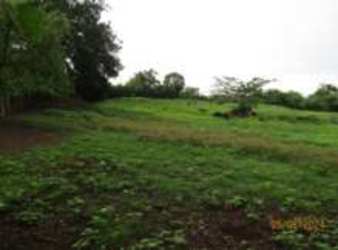 Large open lot with natural greenery and trees Sector El Barrero Pesé Panama
