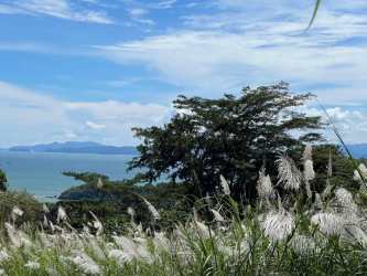 Coastal land in Veracruz Capira with mountain views, ocean nearby, and abundant greenery