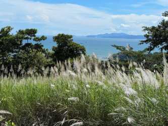 Aerial of Majagual land parcel surrounded by trees roads houses in Veracruz Capira Panama