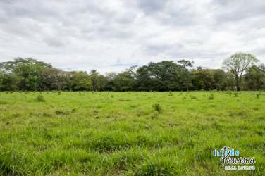 Large rural Panama lot with panoramic mountain views available in Dolega Boquete