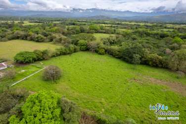 Flat titled open pasture land for sale in Dolega Chiriquí Panama